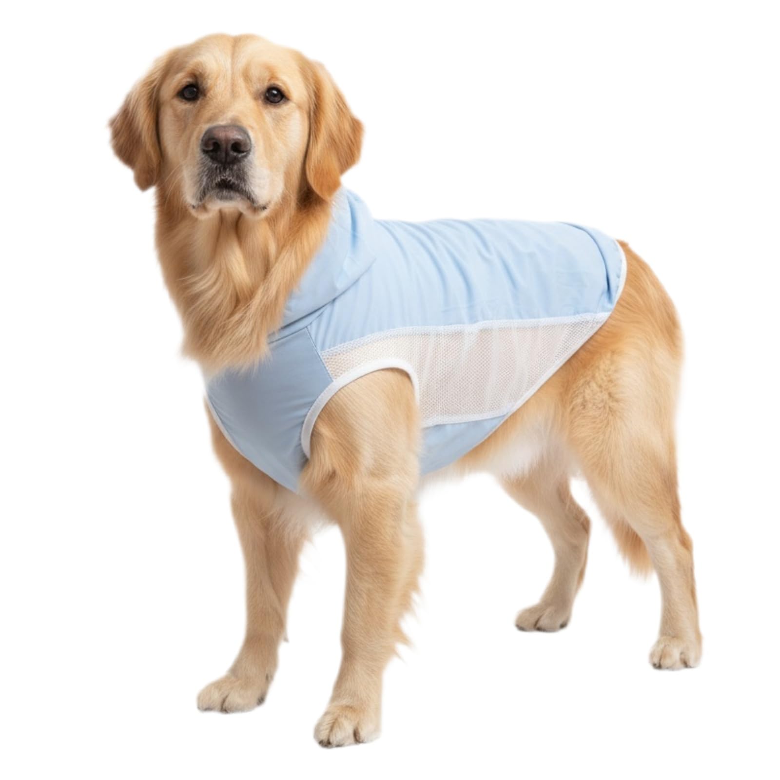 Dog Clothes Shirt for Large Medium Dogs – Lightweight Summer Pet T-Shirt, Breathable Cotton Jersey for Daily Wear, Sleep, or Lounging, Soft & Comfortable (5XL(66-88bls))
