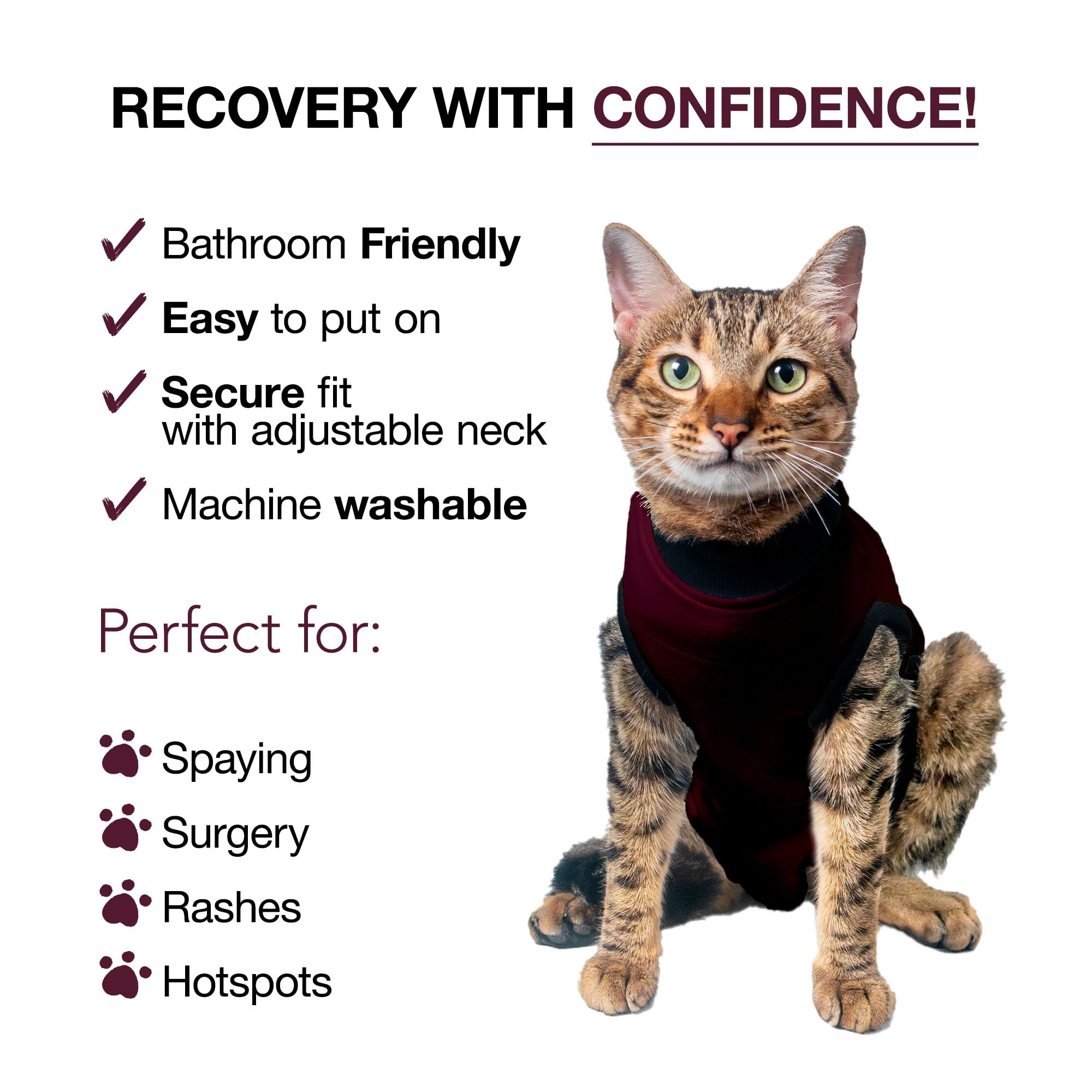 Bellyguard Cat Recovery Suit for Female and Male, Cat Surgery Suit Alternative, Onesie for After Spay Care, Post-Surgery Protective Body Cover for Feline and Kitten Healing