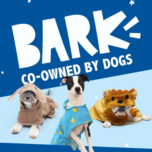Barkbox Dog Bathrobe Fast Drying with Hook and Loop Closure & Wrap Tie Snuggle, Cute Dogs Clothes, Easy to Clean, Machine Washable, Dog Coats and Tumble Dry Low - Lion, Small