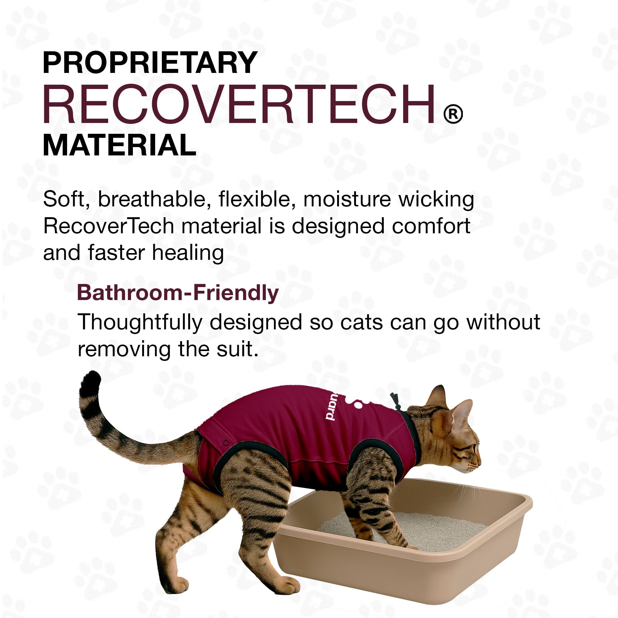 Bellyguard Cat Recovery Suit for Female and Male, Cat Surgery Suit Alternative, Onesie for After Spay Care, Post-Surgery Protective Body Cover for Feline and Kitten Healing