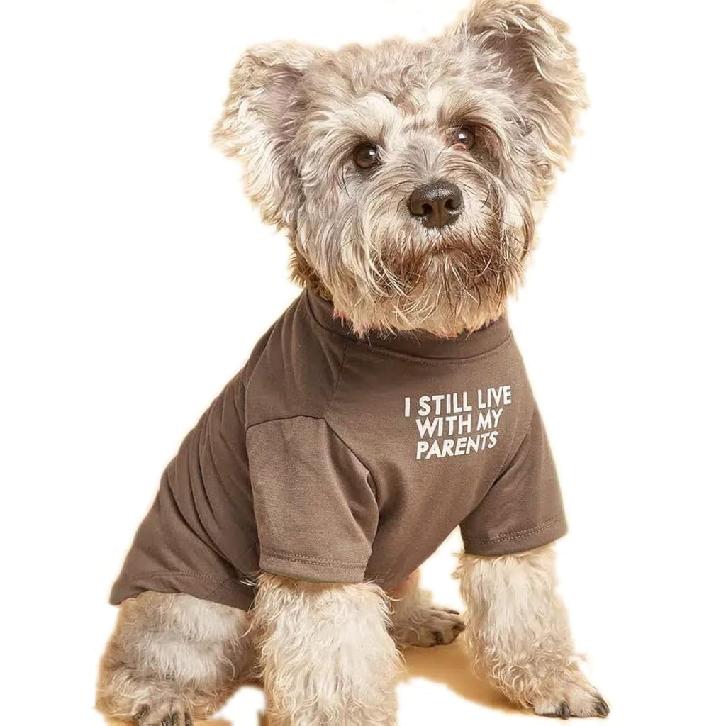 Cute Dog Clothes,Dog T Shirt for Medium and Small Girl Boy Puppy.Breathable Soft Pet Costume for Pet Cats,Pet Pullover Jumper,Cat Clothes (M-(7~11lb), Chest~16", Khaki)
