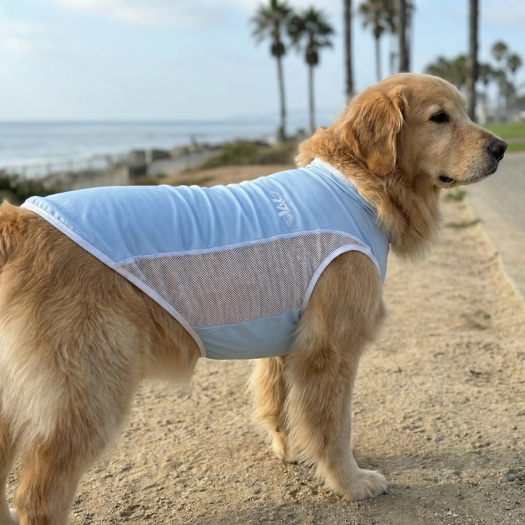 Dog Clothes Shirt for Large Medium Dogs – Lightweight Summer Pet T-Shirt, Breathable Cotton Jersey for Daily Wear, Sleep, or Lounging, Soft & Comfortable (5XL(66-88bls))