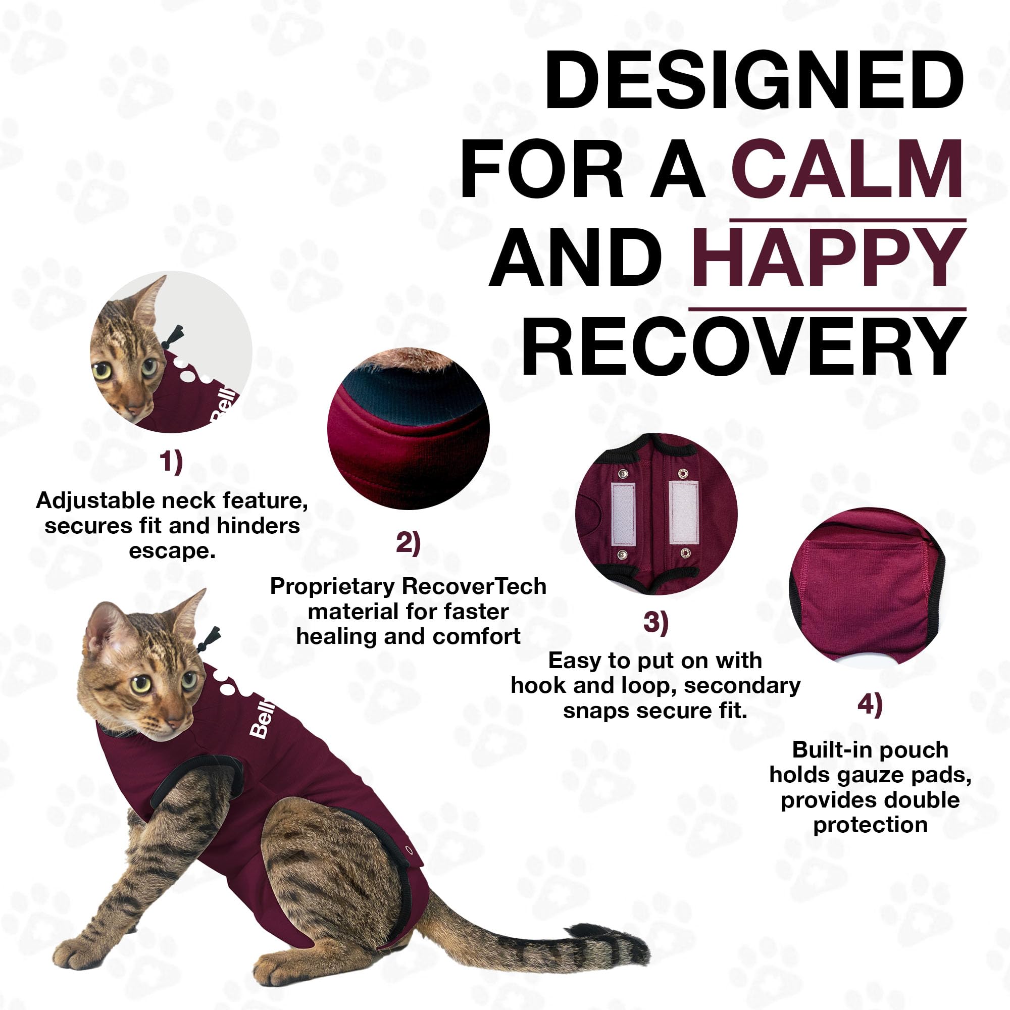 Bellyguard Cat Recovery Suit for Female and Male, Cat Surgery Suit Alternative, Onesie for After Spay Care, Post-Surgery Protective Body Cover for Feline and Kitten Healing