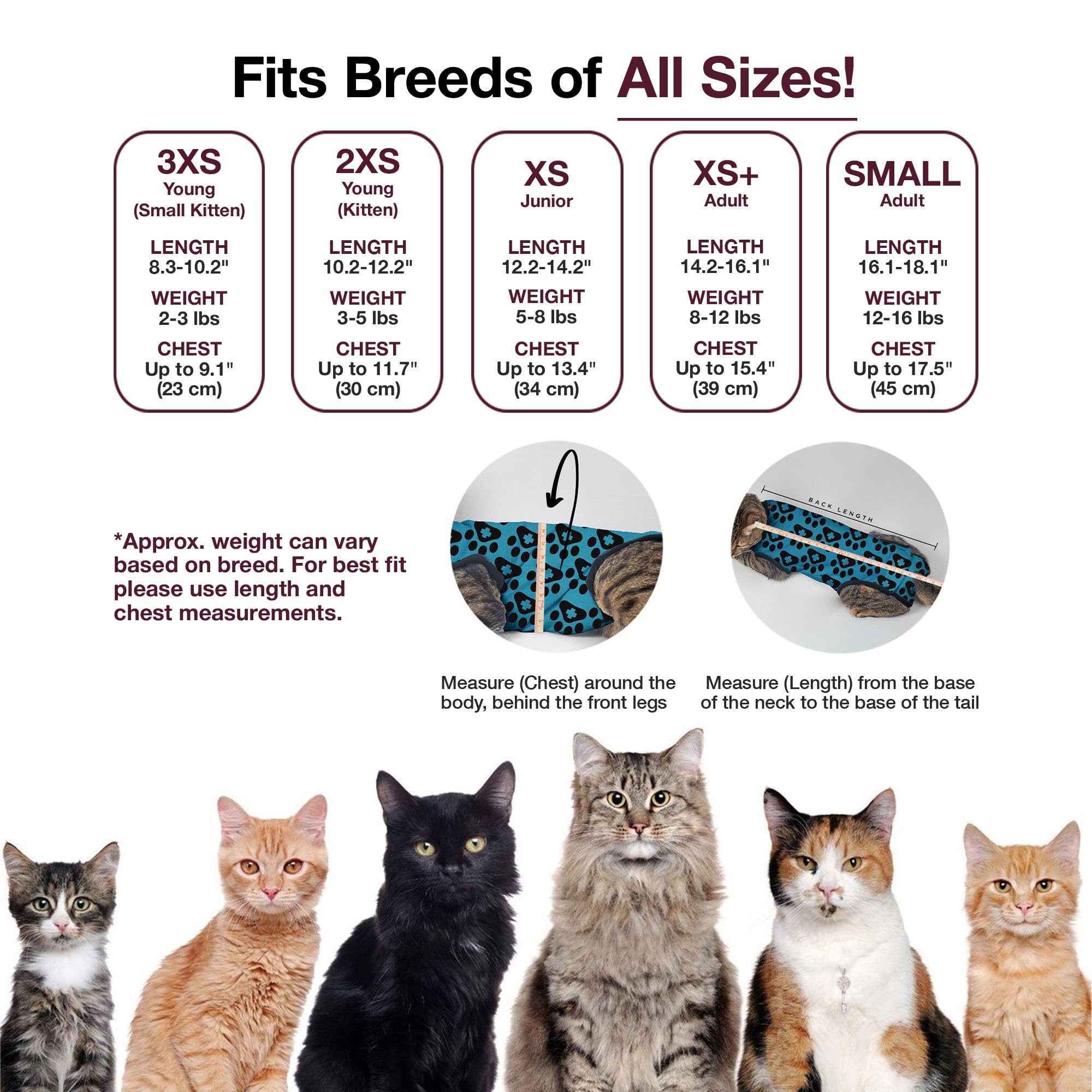 Bellyguard Cat Recovery Suit for Female and Male, Cat Surgery Suit Alternative, Onesie for After Spay Care, Post-Surgery Protective Body Cover for Feline and Kitten Healing