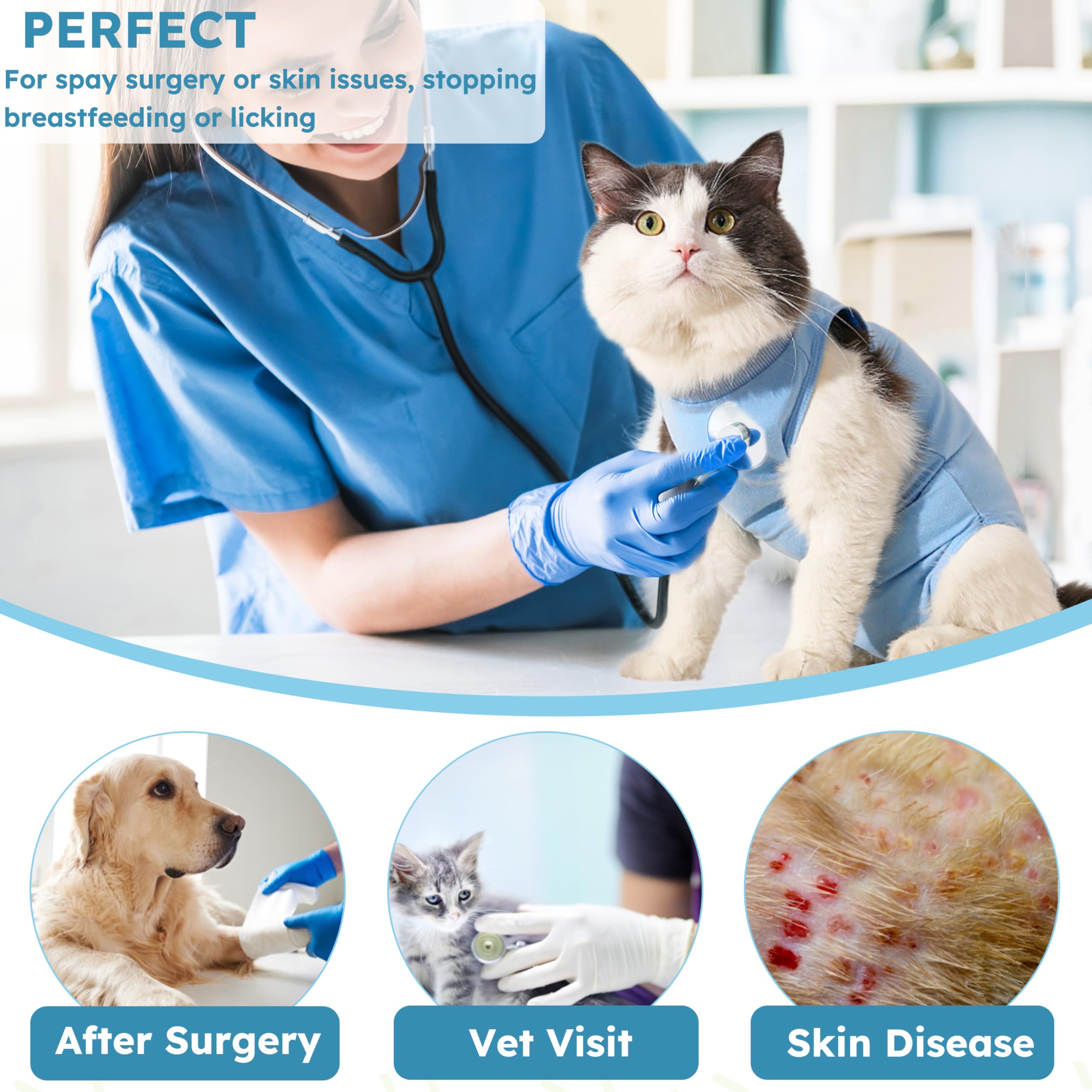 Hpetppy Recovery Suit for Cats After Surgery Soft Breathable Pet Bodysuit E-Collar & Cone Alternative Surgical Suit Kitten Wear Anti Licking Wounds Cat Onesie Cats Neuter Shirt Blue S