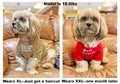 Cute Dog Clothes,Dog T Shirt for Medium and Small Girl Boy Puppy.Breathable Soft Pet Costume for Pet Cats,Pet Pullover Jumper,Cat Clothes (M-(7~11lb), Chest~16", Khaki)