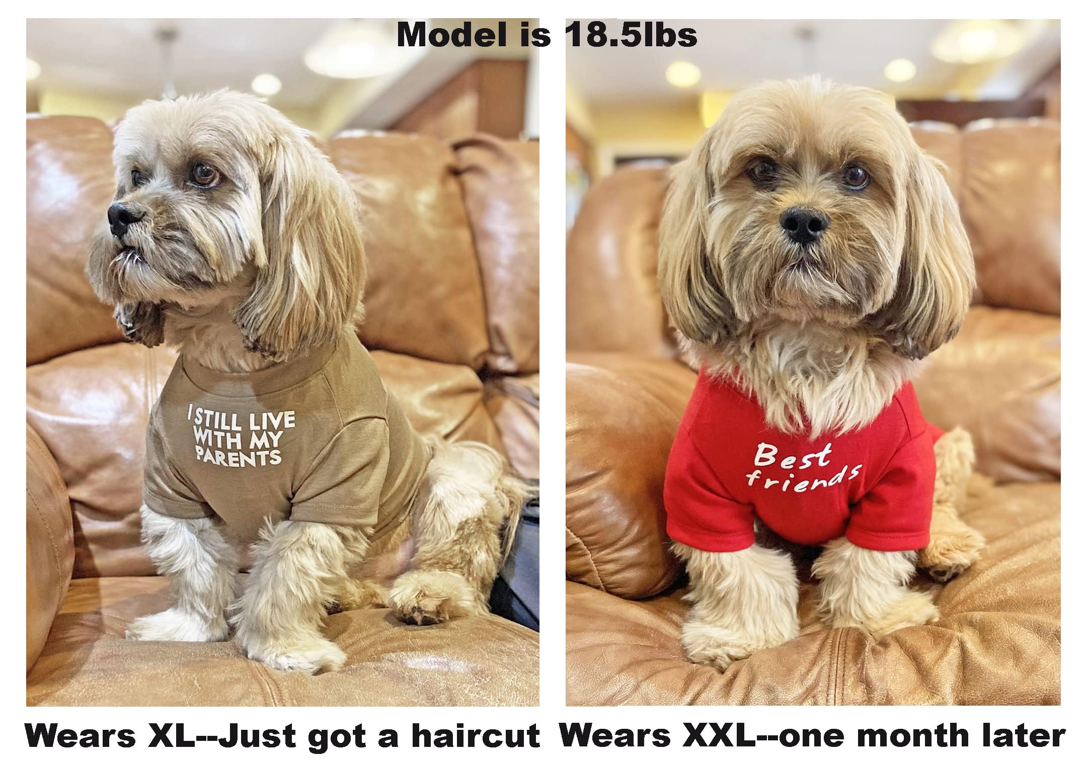 Cute Dog Clothes,Dog T Shirt for Medium and Small Girl Boy Puppy.Breathable Soft Pet Costume for Pet Cats,Pet Pullover Jumper,Cat Clothes (M-(7~11lb), Chest~16", Khaki)