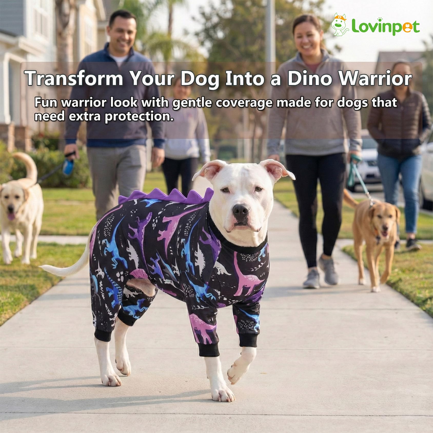 LovinPet Large Dog Pajamas, Four-Leg Stretch Onesie Bodysuit, Lightweight UV-Shielding Pajamas, Anti-Lick Calming Recovery Suit for Surgery, Pull-On for Medium and Large Breeds， Black， XL