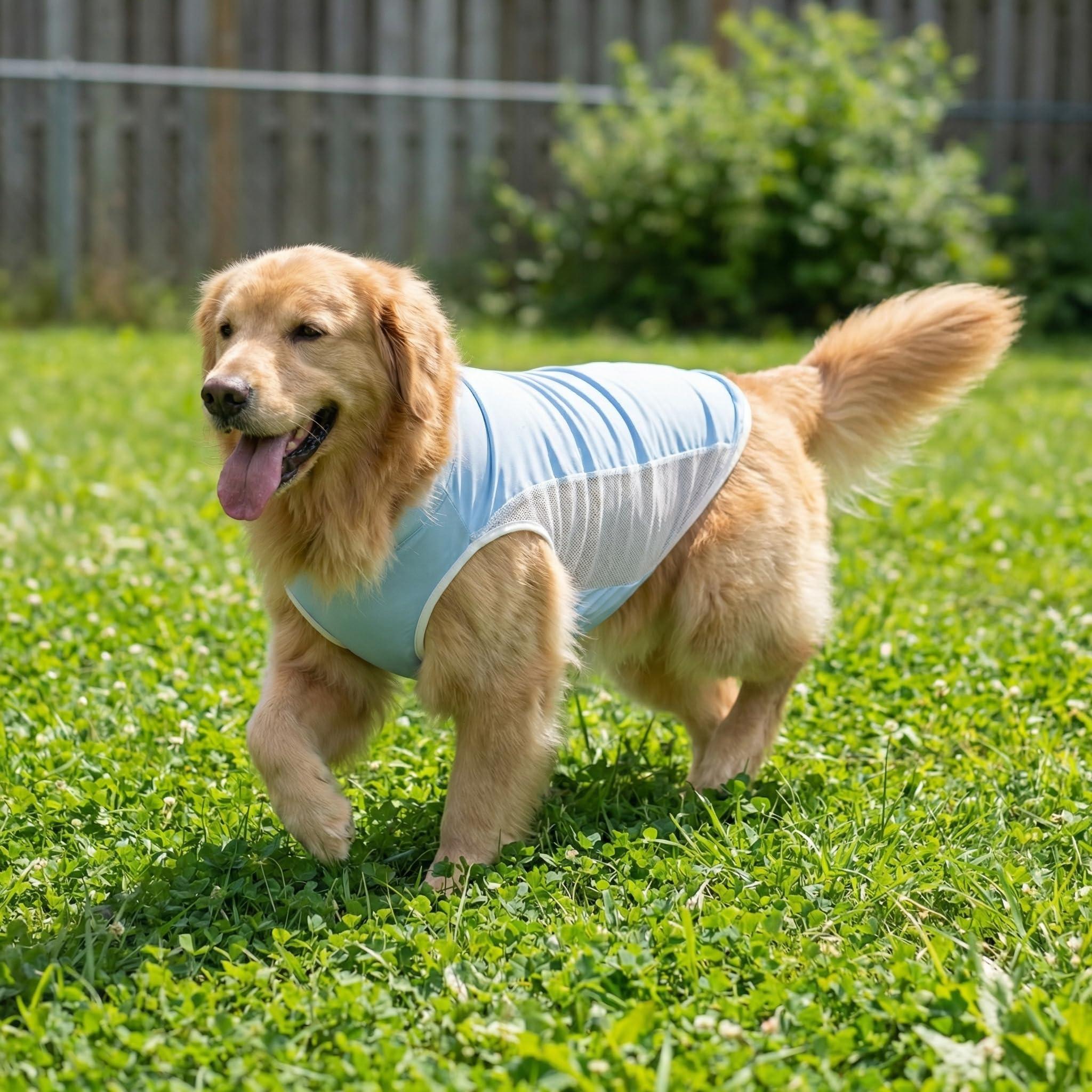 Dog Clothes Shirt for Large Medium Dogs – Lightweight Summer Pet T-Shirt, Breathable Cotton Jersey for Daily Wear, Sleep, or Lounging, Soft & Comfortable (5XL(66-88bls))