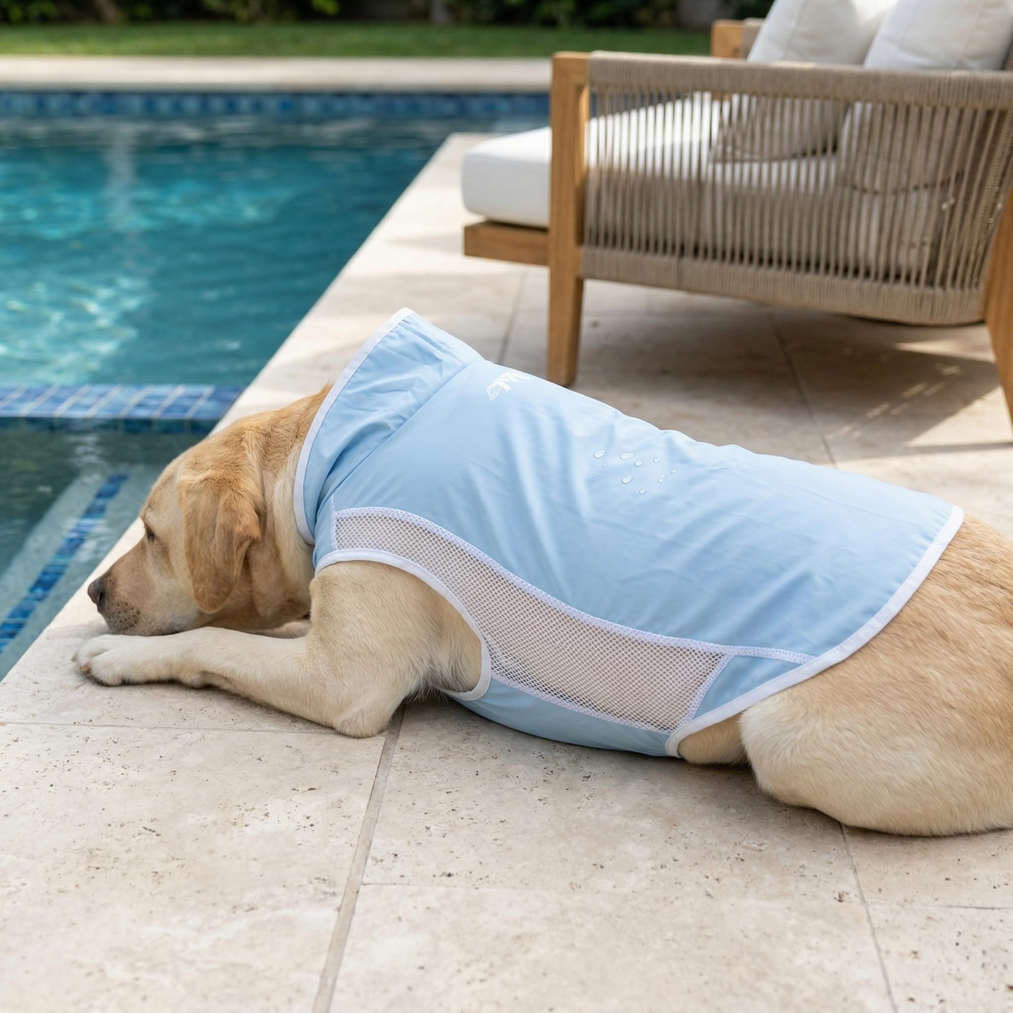 Dog Clothes Shirt for Large Medium Dogs – Lightweight Summer Pet T-Shirt, Breathable Cotton Jersey for Daily Wear, Sleep, or Lounging, Soft & Comfortable (5XL(66-88bls))